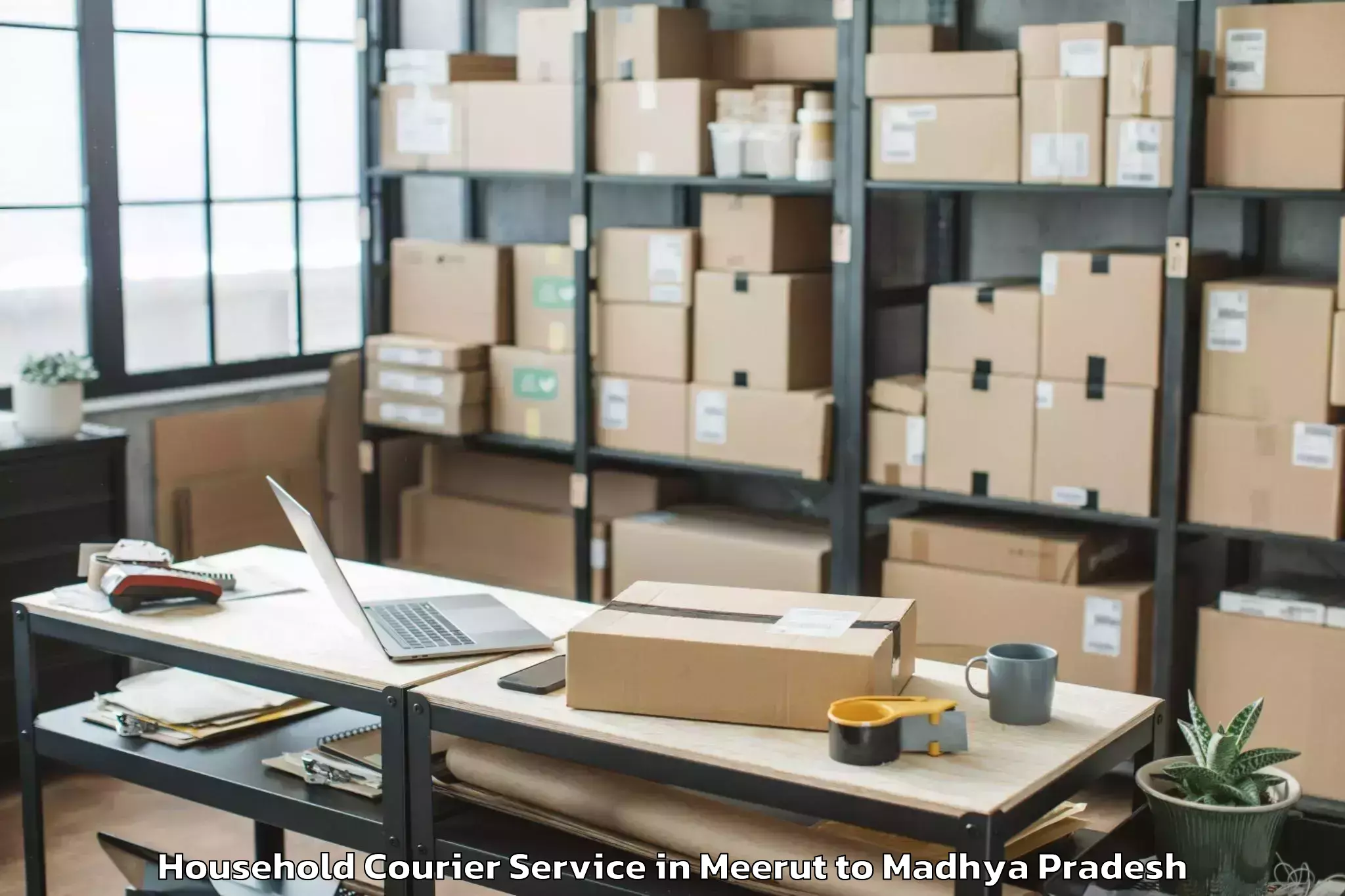 Expert Meerut to Dabra Household Courier